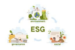 environmental social and governance framework