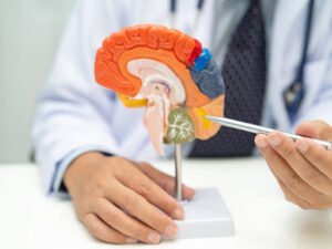 Implementing the Humane Design Thinking Approach for Sustainable Innovation